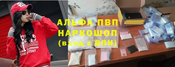 ECSTASY Лагань