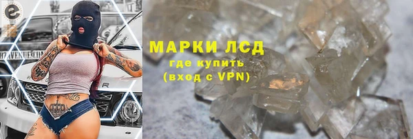 ECSTASY Лагань