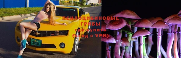 ECSTASY Лагань