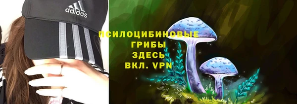 альфа пвп Ладушкин