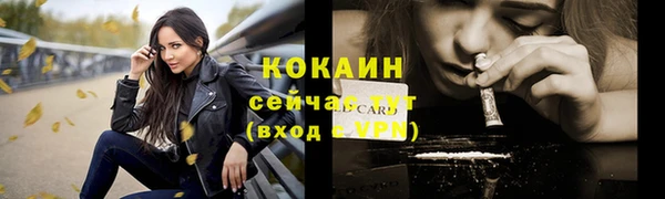 ECSTASY Лагань
