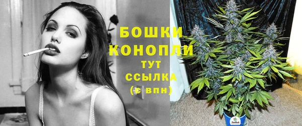 ECSTASY Лагань