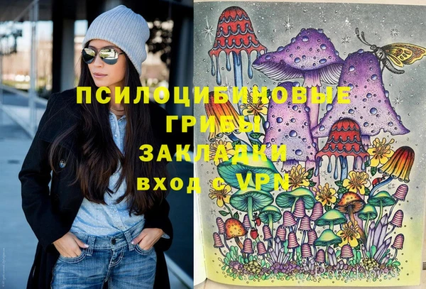 ECSTASY Лагань