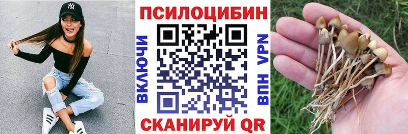 Галлюциногенные грибы мицелий  нарко площадка состав  Тимашёвск 